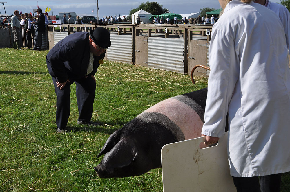 Paul Russell: 2019 selection. Photo 6