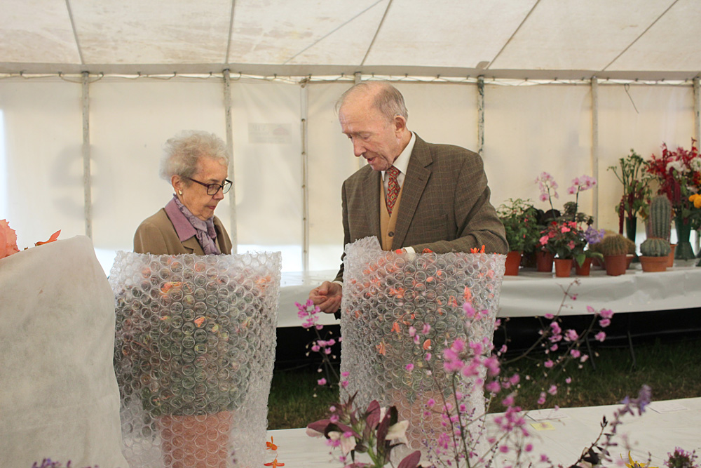 Melplash Show. Photo 7