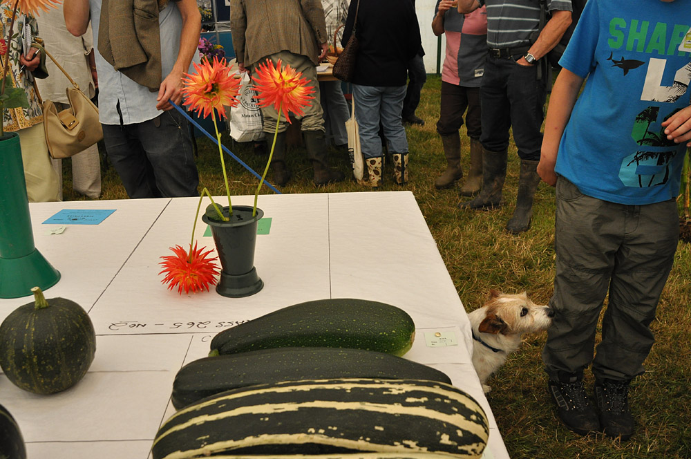 Melplash Show. Photo 9