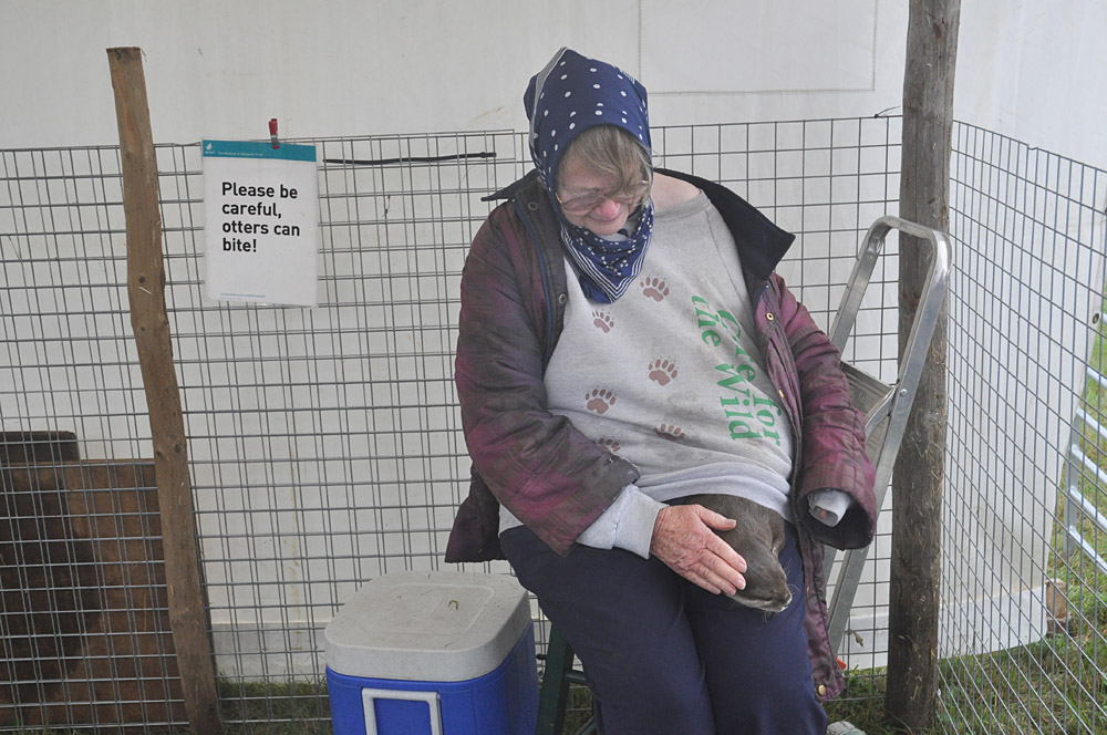 Melplash Show. Photo 12