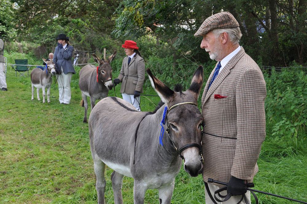 Melplash Show. Photo 15