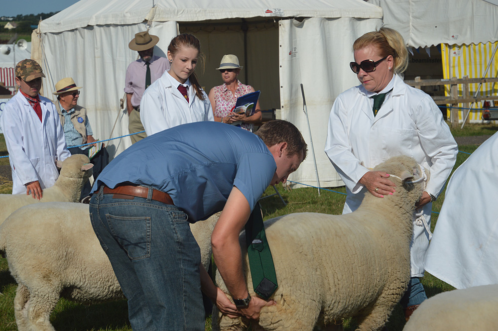 Melplash Show. Photo 21