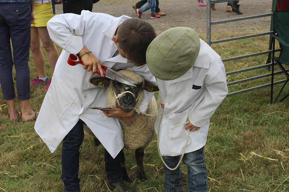 Melplash Show. Photo 23