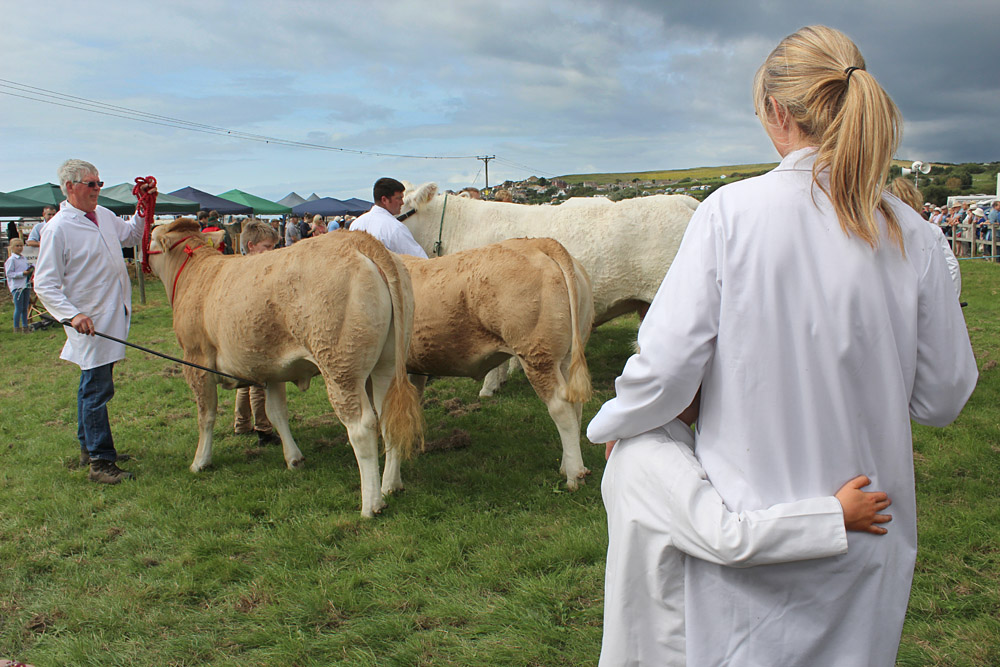 Melplash Show. Photo 25
