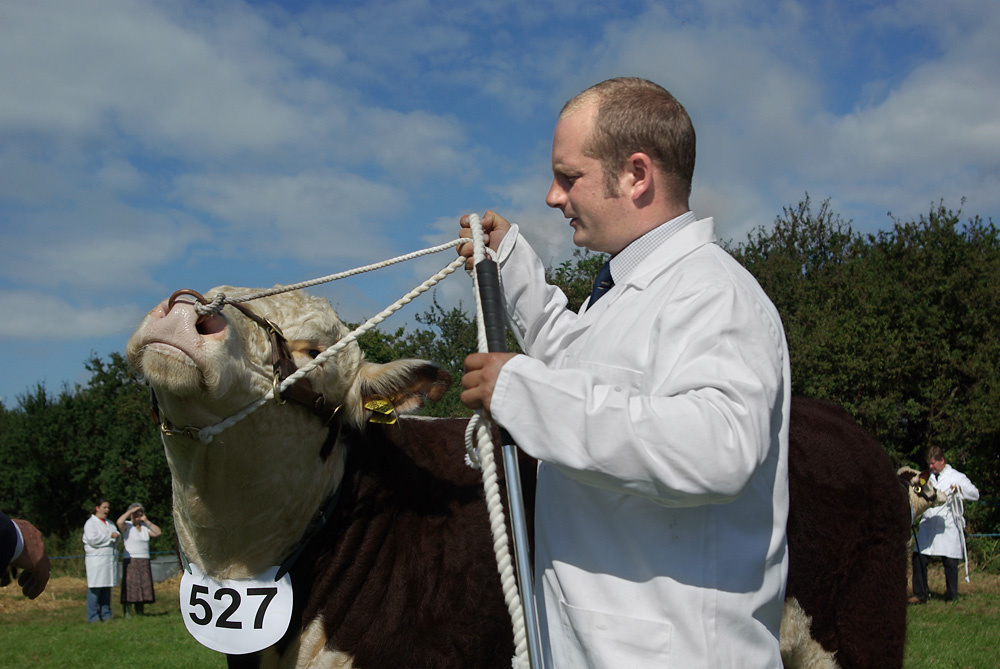 The Melplash Show. Photo 26