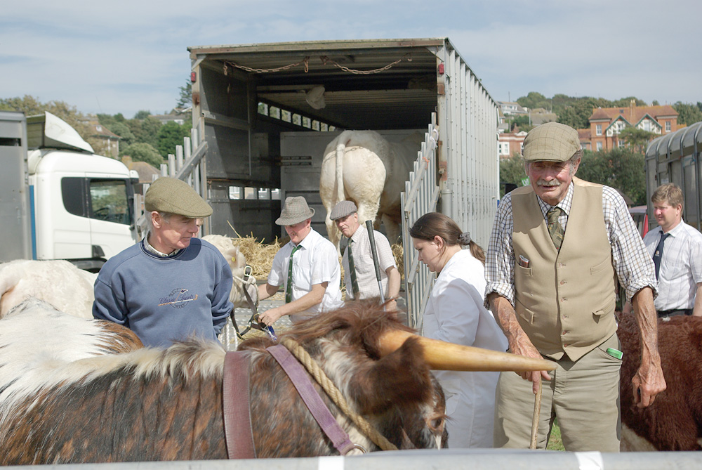 Melplash Show. Photo 28