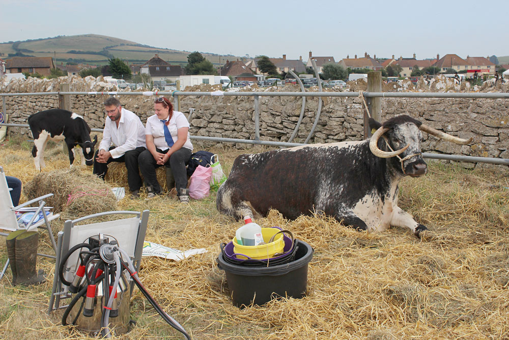 Melplash Show. Photo 29