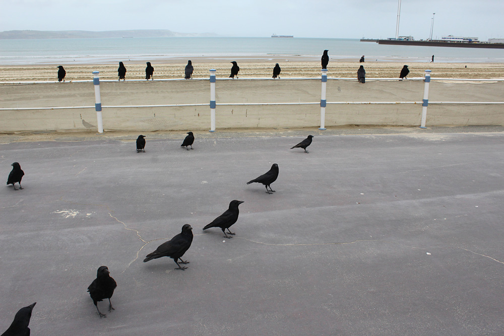 On Weymouth Beach, 2014-2018. Photo 21
