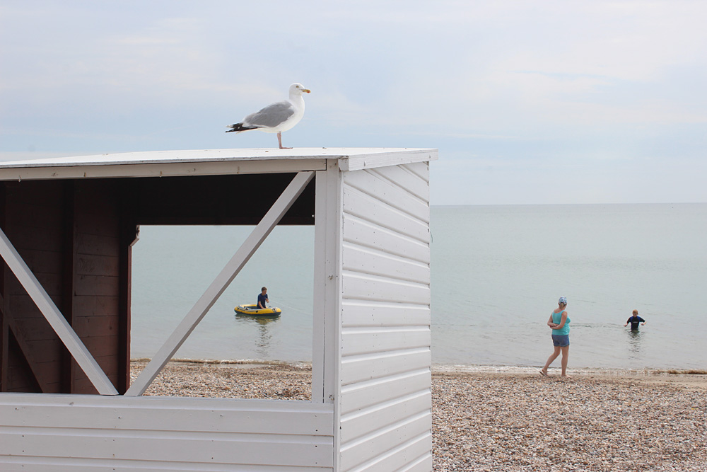 On Weymouth Beach, 2014-2018. Photo 27