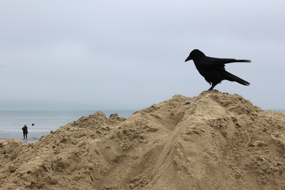 On Weymouth Beach, 2014-2018. Photo 30