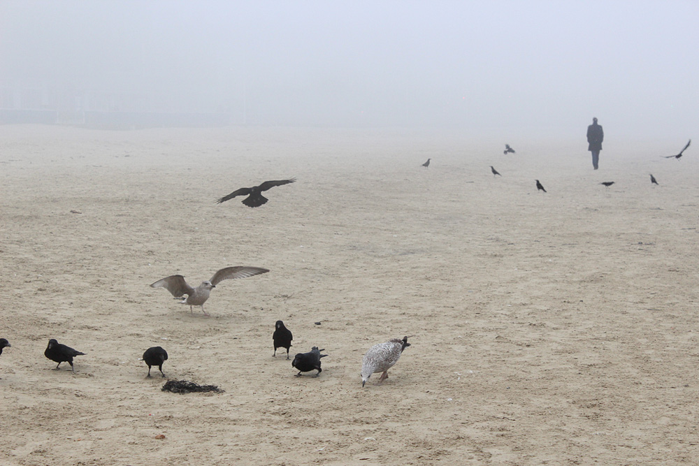 On Weymouth Beach, 2014-2018. Photo 44